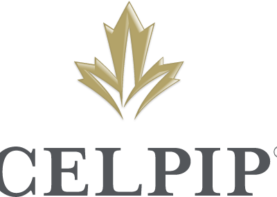 web-CELPIP CELPIP Course One on One